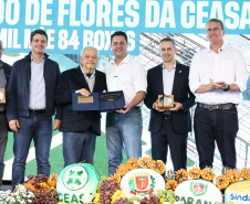 MERCADO DAS FLORES CEASA