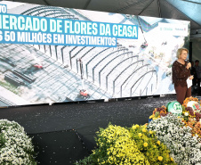 MERCADO DAS FLORES CEASA