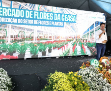MERCADO DAS FLORES CEASA