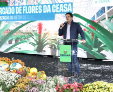 MERCADO DAS FLORES CEASA