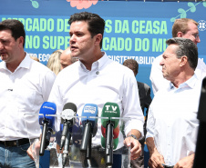 MERCADO DAS FLORES CEASA