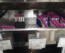 Fevereiro Laranja: a luta contra a leucemia e a importância do diagnóstico precoce