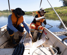 Sanepar resgatou cerca de 2 mil animais desde o início do enchimento do Reservatório Miringuava