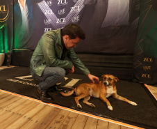 Zezé Di Camargo e Luciano  - Verao Maior Parana