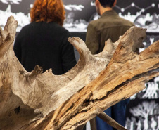 Fwd: Novo miniauditório do MON é inaugurado com exposição de fotos de Dico Kremer