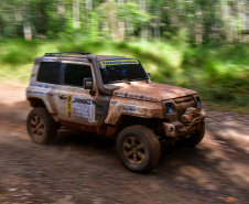 SEES - RALLY TRANSPARANA