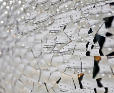 Exposição Veemente