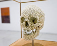 Exposição Veemente