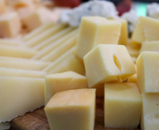 Paraná concede benefício fiscal para produtores de queijo mussarela e prato para aumentar competitividade