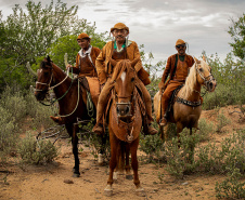 Mês das mulheres: MIS-PR divulga programação gratuita de março