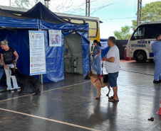 Com destaque para RMC, CastraPet vai beneficiar cães e gatos de 42 municípios em fevereiro