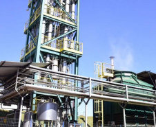 Coopera Paraná: Número de projetos inscritos cresce 124% e atinge marca histórica