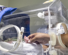 SESA - Mães de bebês prematuros recebem apoio em saúde mental no PR