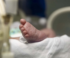 SESA - Mães de bebês prematuros recebem apoio em saúde mental no PR