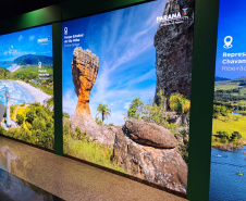 Inscrições para participar da WTM Latin América com o Viaje Paraná estão abertas