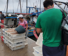 Atividades ambientais na Ponte de Guaratuba