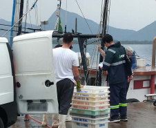 Atividades ambientais na Ponte de Guaratuba