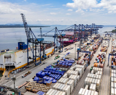 Portos do Paraná concentram quase metade das exportações de frango do Brasil