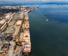 Portos do Paraná concentram quase metade das exportações de frango do Brasil