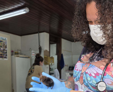 Governo do Estado registrou 6.025 atendimentos à fauna silvestre em 2025, um aumento de 61% em relação ao ano anterior.