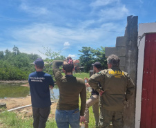 Governo cria canal exclusivo para denúncias de crimes ambientais no Paraná