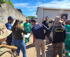 Governo cria canal exclusivo para denúncias de crimes ambientais no Paraná