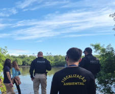 Governo cria canal exclusivo para denúncias de crimes ambientais no Paraná