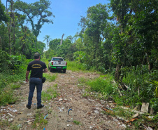 Governo cria canal exclusivo para denúncias de crimes ambientais no Paraná