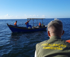 Governo cria canal exclusivo para denúncias de crimes ambientais no Paraná