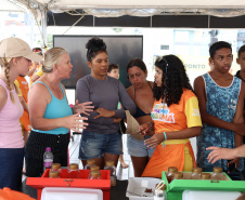 Universidades realizam mais de 22 mil atendimentos no Verão Maior Paraná