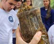 Clube de ciências em colégio cívico-militar de Rolândia é destaque em feiras científicas e influencia projeto de rearborização municipal