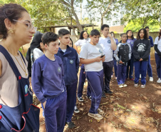 Clube de ciências em colégio cívico-militar de Rolândia é destaque em feiras científicas e influencia projeto de rearborização municipal