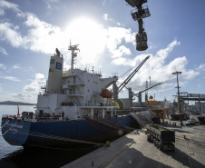 Portos do Paraná registram salto na movimentação de cevada e malte