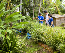 Portos do Paraná amplia projeto pioneiro de saneamento ecológico para mais ilhas do litoral