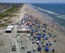 Saúde reforça orientações para prevenir acidentes com águas-vivas no Litoral durante o Carnaval