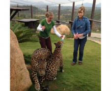 Nota Paraná destina R$ 2,2 milhões a entidades sociais no sorteio de Carnaval