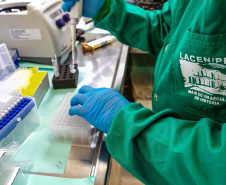 Paraná é destaque em revista internacional por liderança na vigilância de superbactérias