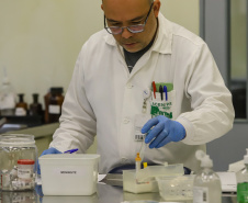 Paraná é destaque em revista internacional por liderança na vigilância de superbactérias