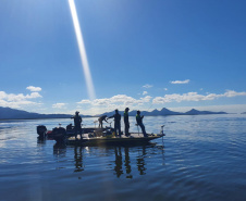  Período de restrição à pesca de espécies nativas termina no domingo, 1º de março, em todo o Paraná.