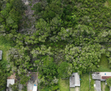 Polícia Científica intensifica perícias ambientais no litoral paranaense