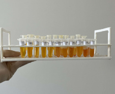 Adapar realiza ações do ciclo de vigilância ativa para Influenza Aviária e Doença de Newcastle no Paraná