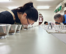 No Show RuraI, IDR-Paraná mostrará o universo do café paranaense em espaço interativo