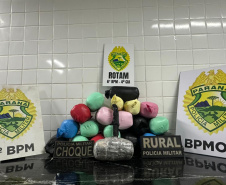 Com apoio da Aeronave Falcão, PMPR apreende droga escondida em tanque de combustível na BR-277