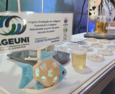 SETI - Show Rural 2026: Ciência do Paraná apresenta soluções inovadoras para o agro