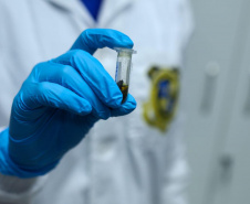 Atuação integrada das forças de segurança no Carnaval reduz roubos em 44% e furtos em 32% no Litoral do Paraná