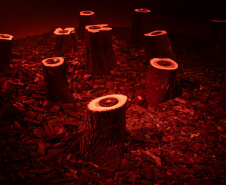 Fundação Bienal de São Paulo retorna ao Museu Oscar Niemeyer pela terceira vez com programa itinerante da 36ª Bienal de São Paulo