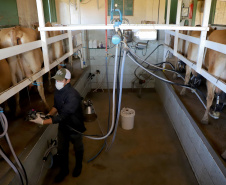 Crédito do BRDE à cadeia do leite do Paraná acelera 84% no último ano