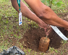 “333 anos de Curitiba”: nova exposição do Arquivo Público do Paraná destaca o papel das áreas verdes na identidade da Capital