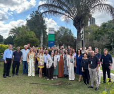 “333 anos de Curitiba”: nova exposição do Arquivo Público do Paraná destaca o papel das áreas verdes na identidade da Capital