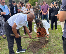 “333 anos de Curitiba”: nova exposição do Arquivo Público do Paraná destaca o papel das áreas verdes na identidade da Capital